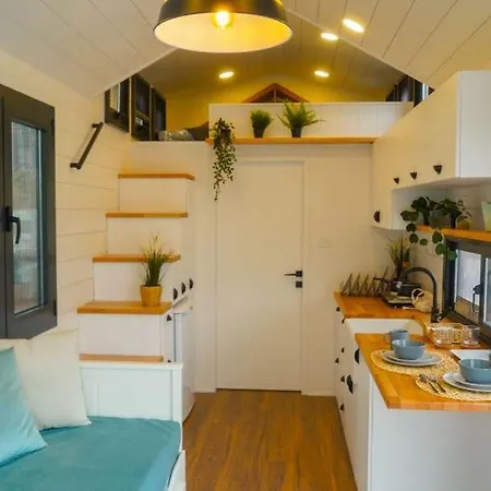 Modern Tiny House Surrounded By Olive Grove Near Beach In Ayvacik *