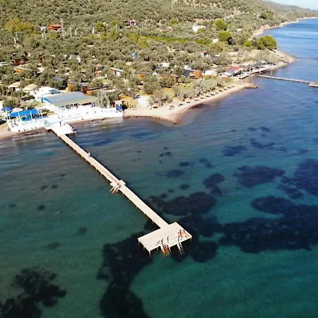 Holiday home Modern Tiny House Surrounded By Olive Grove Near Beach In Ayvacik