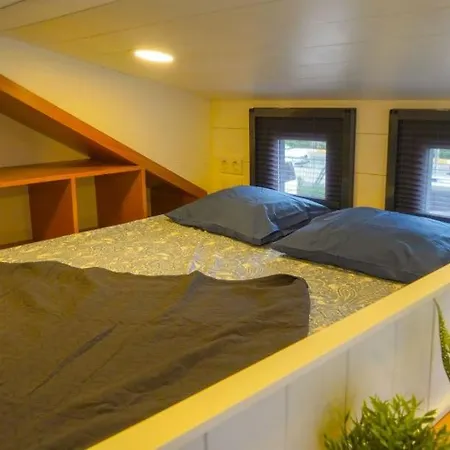 Modern Tiny House Surrounded By Olive Grove Near Beach In Ayvacik *
