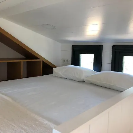 Modern Tiny House Surrounded By Olive Grove Near Beach In Ayvacik * Küçükkuyu