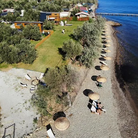 Modern Tiny House Surrounded By Olive Grove Near Beach In Ayvacik Сasa de vacaciones Küçükkuyu