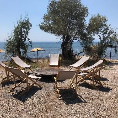 Сasa de vacaciones Modern Tiny House Surrounded By Olive Grove Near Beach In Ayvacik
